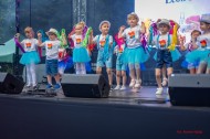 Jarmark 2025 (103)