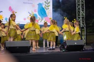 Jarmark 2025 (89)