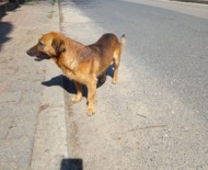 Obraz3